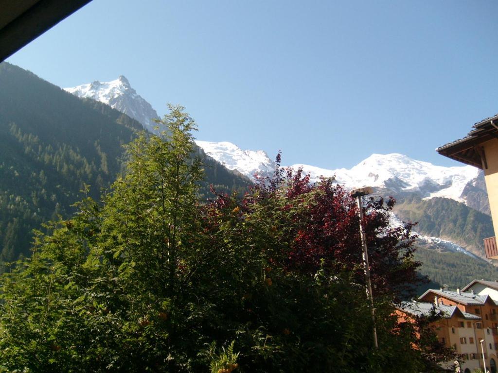 Appartement T2 Chamonix Centre Balcon Vue Mont Blanc Экстерьер фото
